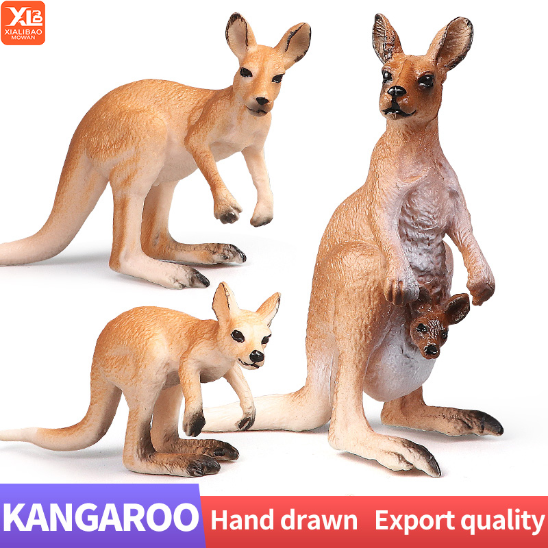 Kangaroo Kids Education - Nouveau Ensemble de kangourou du monde