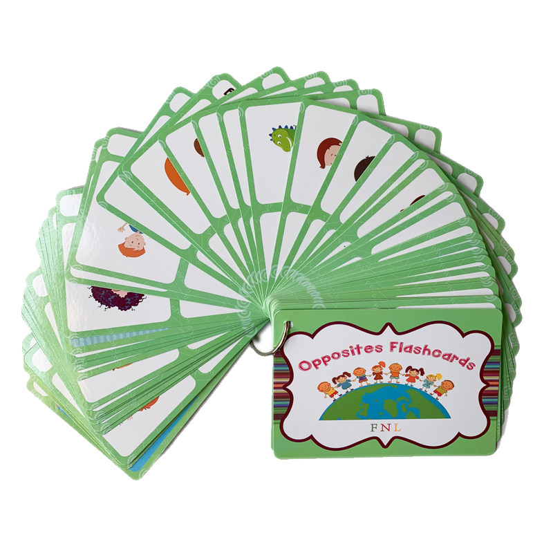 100 cartes mémoire sur les gro - Kid Educational avis et prix