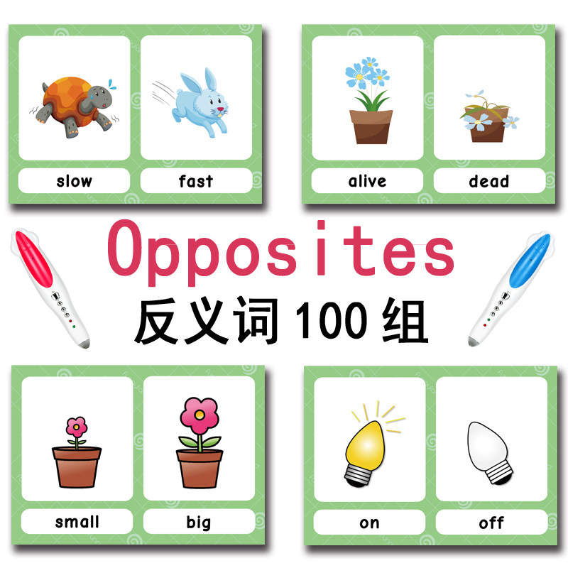 100 cartes mémoire sur les gro - Kid Educational avis et prix