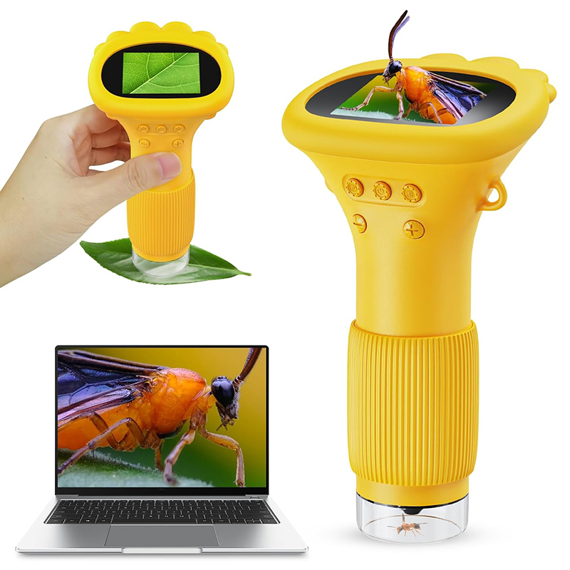 Microscope numérique portable  - Kids Definition Of Education avis et prix