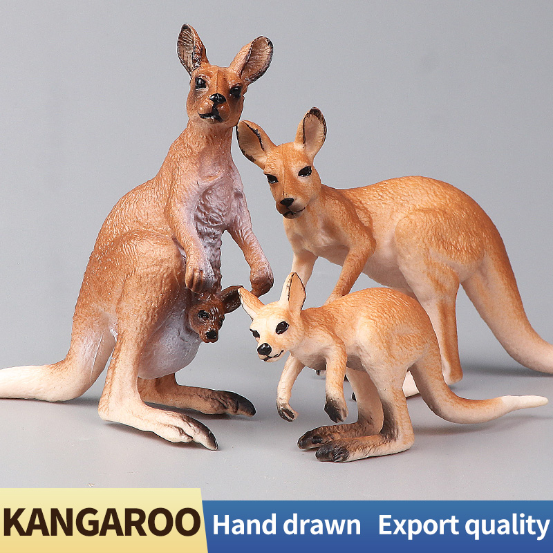 Nouveau Ensemble de kangourou  - Kangaroo Kids Education avis et prix