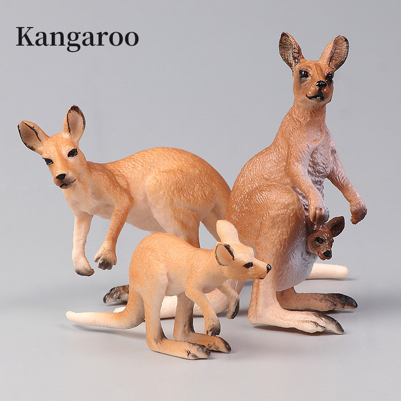 Nouveau Ensemble de kangourou  - Kangaroo Kids Education avis et prix