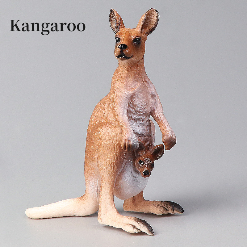 Nouveau Ensemble de kangourou  - Kangaroo Kids Education avis et prix