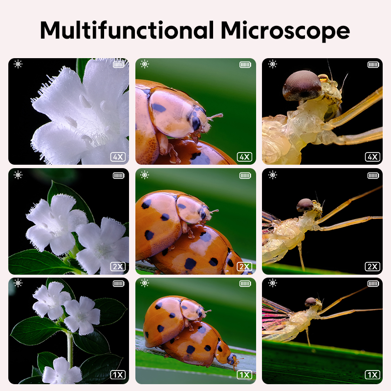Mini Microscope optique pour e - Kids Education Video avis et prix